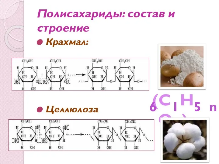 Полисахариды: состав и строение Крахмал: Целлюлоза