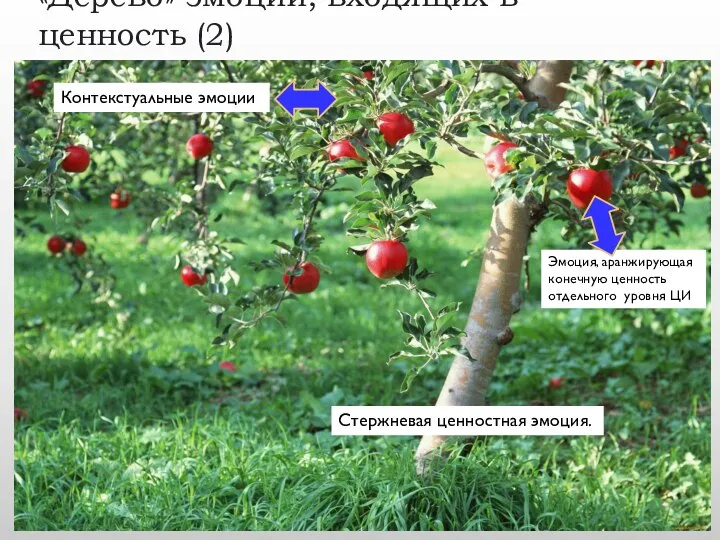 «Дерево» эмоций, входящих в ценность (2) Стержневая ценностная эмоция. Эмоция, аранжирующая