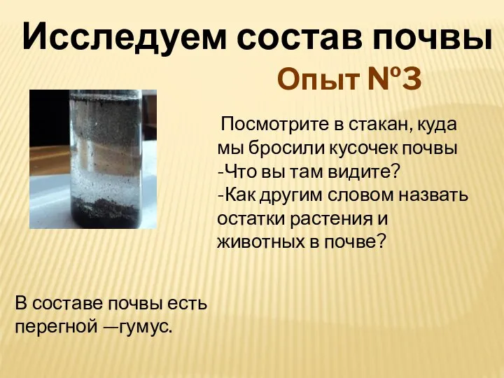 Посмотрите в стакан, куда мы бросили кусочек почвы -Что вы там