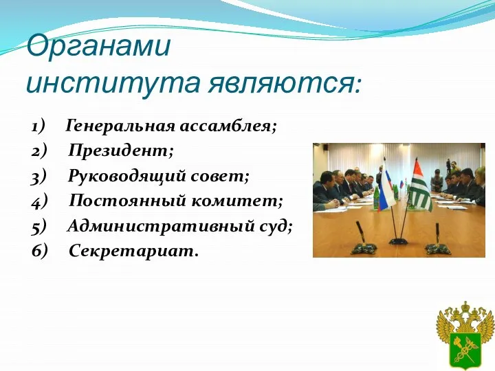 Органами института являются: 1) Генеральная ассамблея; 2) Президент; 3) Руководящий совет;