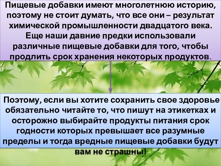 Пищевые добавки имеют многолетнюю историю, поэтому не стоит думать, что все