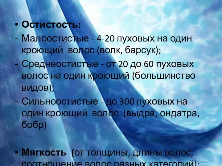 Остистость: Малоостистые - 4-20 пуховых на один кроющий волос (волк, барсук);