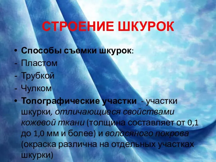 СТРОЕНИЕ ШКУРОК Способы съемки шкурок: Пластом Трубкой Чулком Топографические участки -