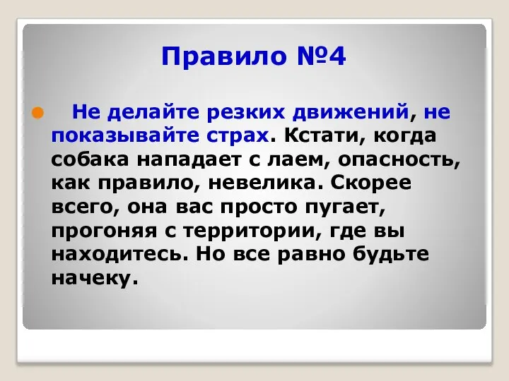 Правило №4 Не делайте резких движений, не показывайте страх. Кстати, когда