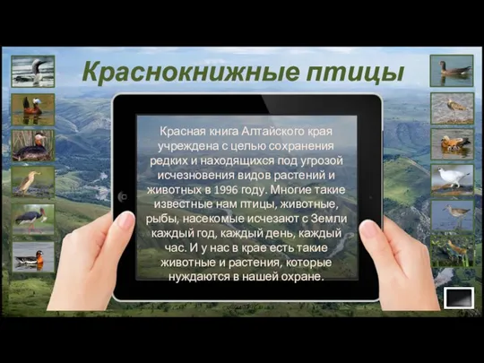 Красная книга Алтайского края учреждена с целью сохранения редких и находящихся