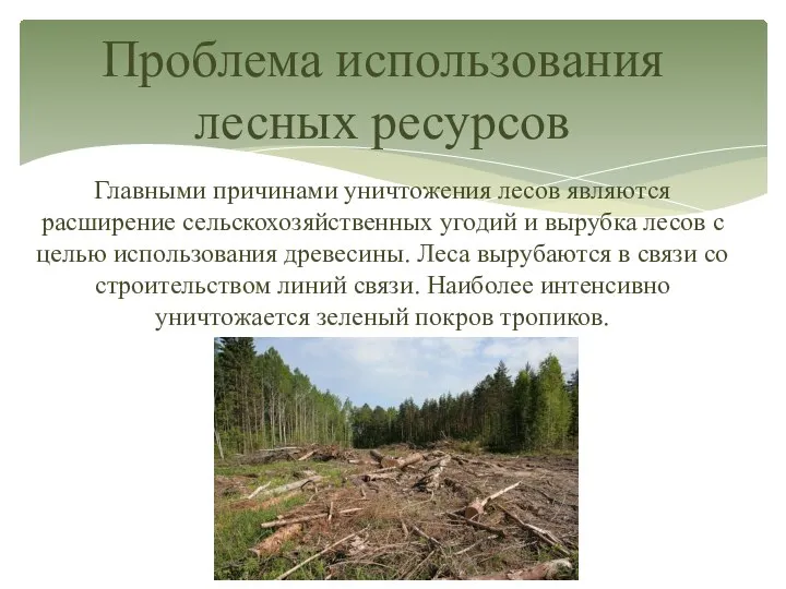 Главными причинами уничтожения лесов являются расширение сельскохозяйственных угодий и вырубка лесов