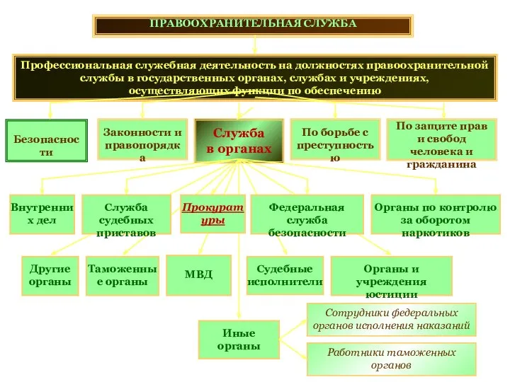 ПРАВООХРАНИТЕЛЬНАЯ СЛУЖБА Профессиональная служебная деятельность на должностях правоохранительной службы в государственных