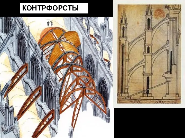 КОНТРФОРСТЫ