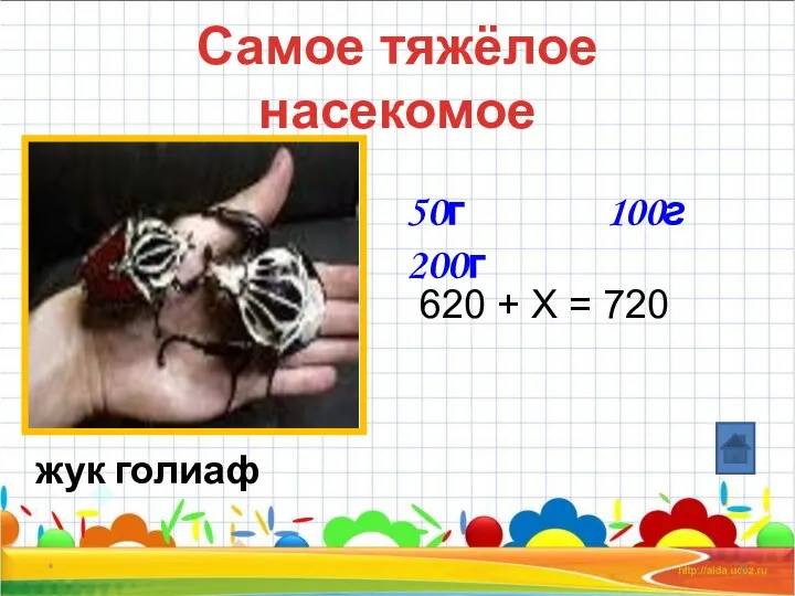 * Самое тяжёлое насекомое жук голиаф 50г 200г 620 + X = 720 100г