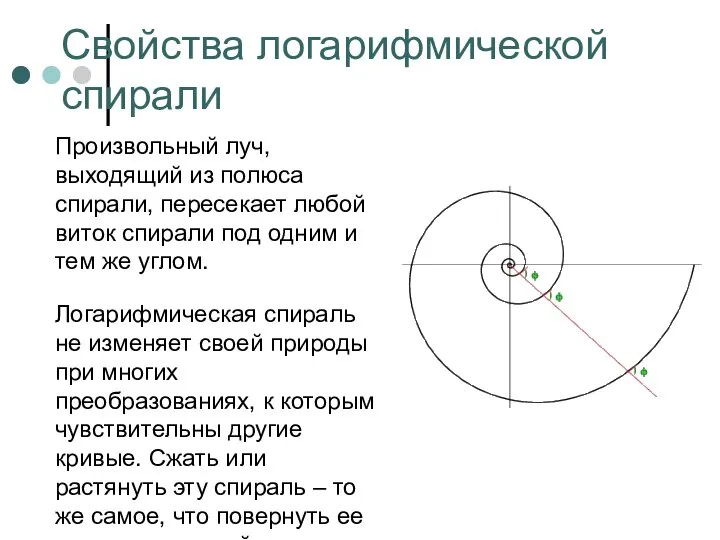 Свойства логарифмической спирали Произвольный луч, выходящий из полюса спирали, пересекает любой