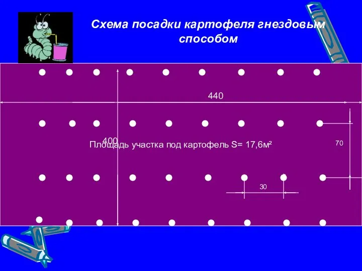 Площадь участка под картофель S= 17,6м² Схема посадки картофеля гнездовым способом 30 70 440 400