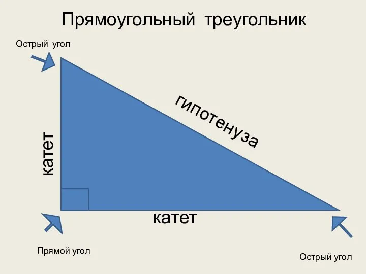 катет катет гипотенуза Прямоугольный треугольник Прямой угол Острый угол Острый угол