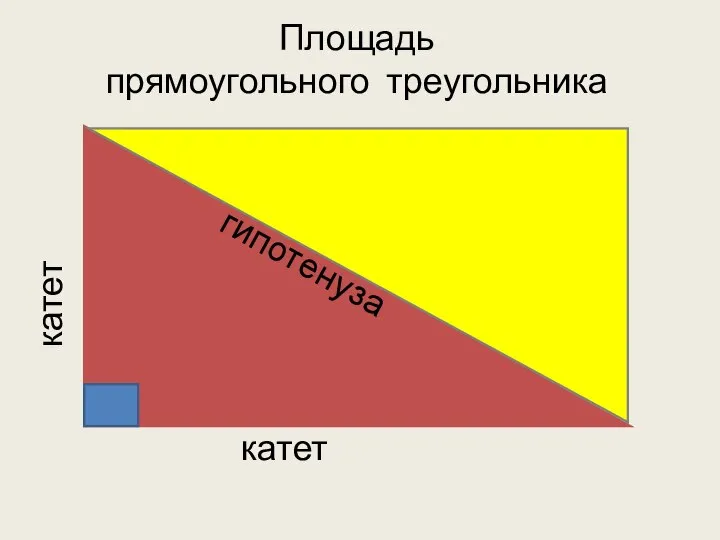 катет катет гипотенуза Площадь прямоугольного треугольника S=(a x b) : 2