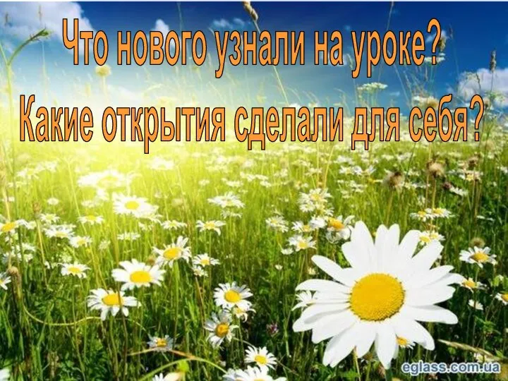 Что нового узнали на уроке? Какие открытия сделали для себя?