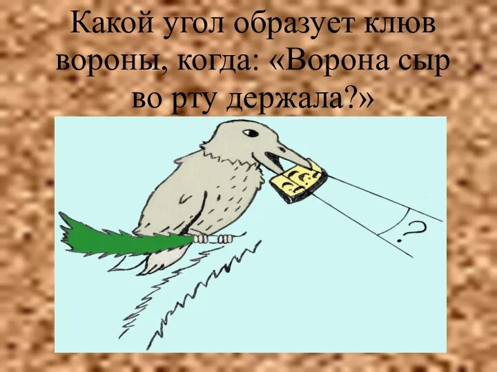 Какой угол образует клюв вороны, когда: «Ворона сыр во рту держала?»