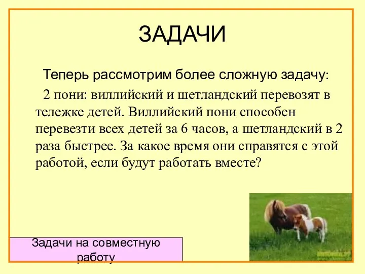 ЗАДАЧИ Теперь рассмотрим более сложную задачу: 2 пони: виллийский и шетландский
