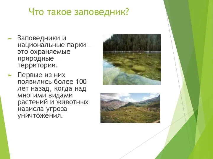 Что такое заповедник? Заповедники и национальные парки – это охраняемые природные