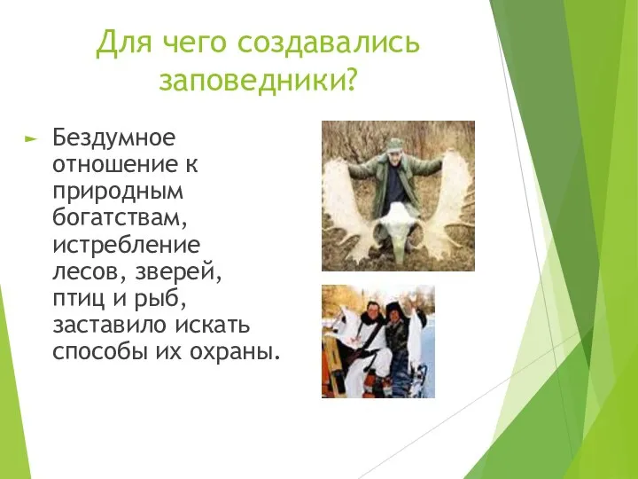 Для чего создавались заповедники? Бездумное отношение к природным богатствам, истребление лесов,