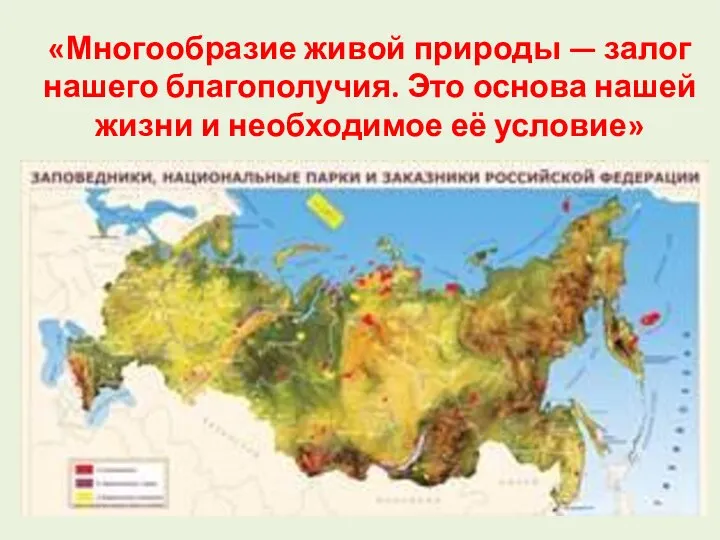 «Многообразие живой природы — залог нашего благополучия. Это основа нашей жизни и необходимое её условие»