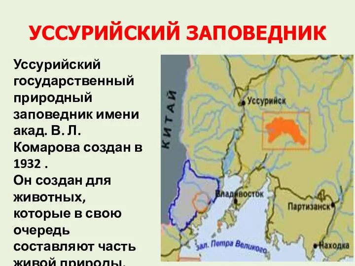 УССУРИЙСКИЙ ЗАПОВЕДНИК Уссурийский государственный природный заповедник имени акад. В. Л. Комарова