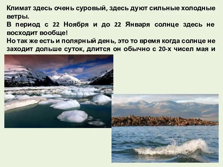 Климат здесь очень суровый, здесь дуют сильные холодные ветры. В период