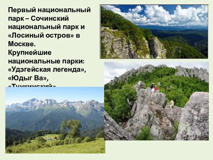 Первый национальный парк – Сочинский национальный парк и «Лосиный остров» в