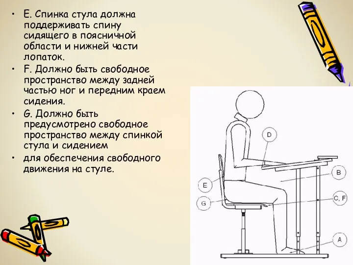 E. Спинка стула должна поддерживать спину сидящего в поясничной области и