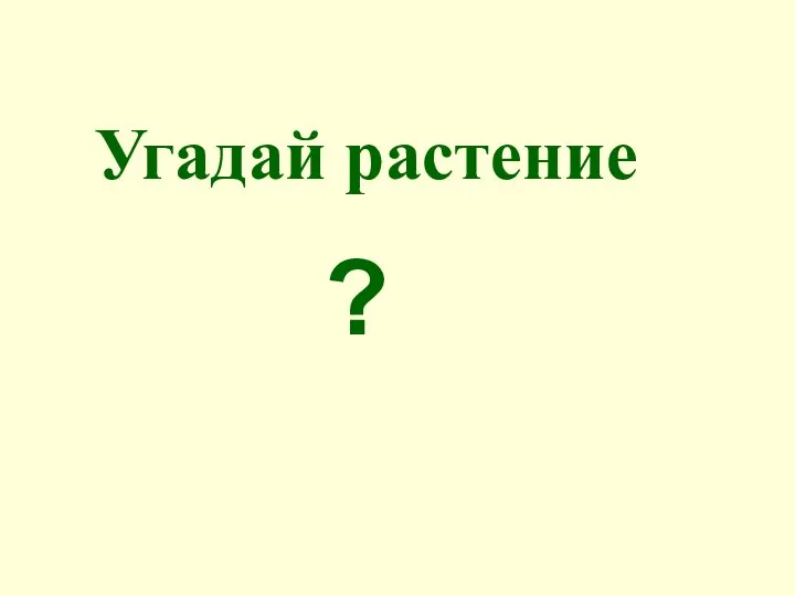 Угадай растение ?