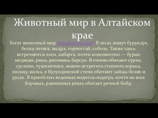 Богат животный мир Алтайского края. В лесах живут бурундук, белка-летяга, выдра,