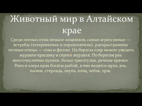 Среди лесных птиц немало хищников, самые агрессивные — ястребы (тетеревятник и