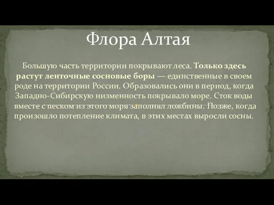 Большую часть территории покрывают леса. Только здесь растут ленточные сосновые боры