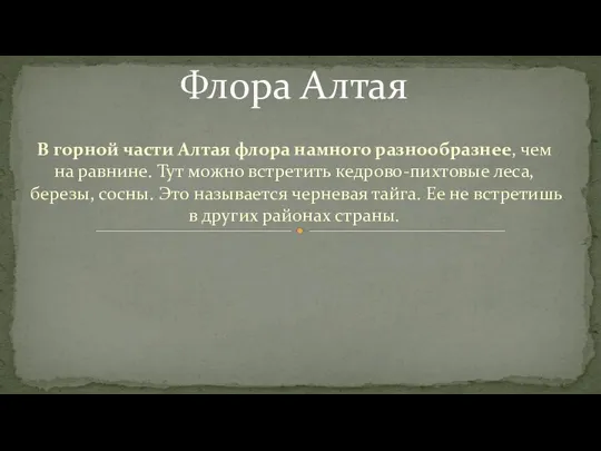 В горной части Алтая флора намного разнообразнее, чем на равнине. Тут