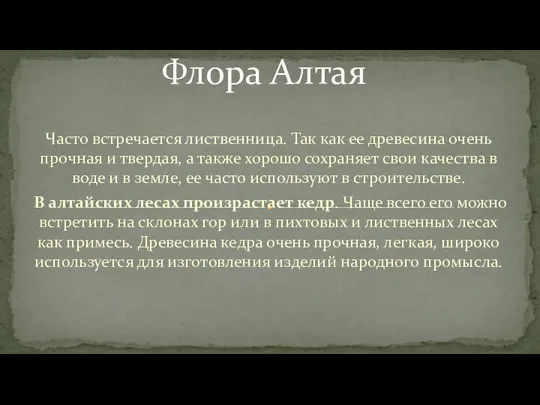 Часто встречается лиственница. Так как ее древесина очень прочная и твердая,