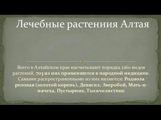 Всего в Алтайском крае насчитывают порядка 2160 видов растений, 703 из