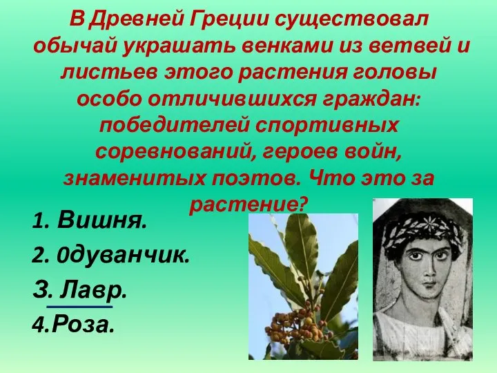 В Древней Греции существовал обычай украшать венками из ветвей и листьев