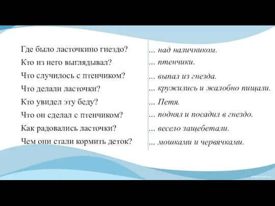 Где было ласточкино гнездо? Кто из него выглядывал? Что случилось с