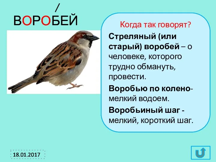 ВОРОБЕЙ Когда так говорят? Стреляный (или старый) воробей – о человеке,