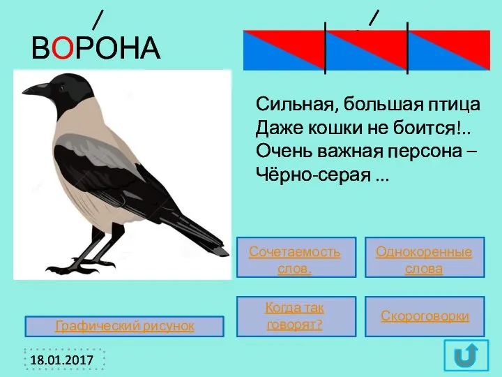 Сильная, большая птица Даже кошки не боится!.. Очень важная персона –