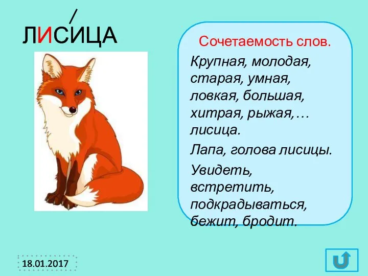 ЛИСИЦА Сочетаемость слов. Крупная, молодая, старая, умная, ловкая, большая, хитрая, рыжая,…