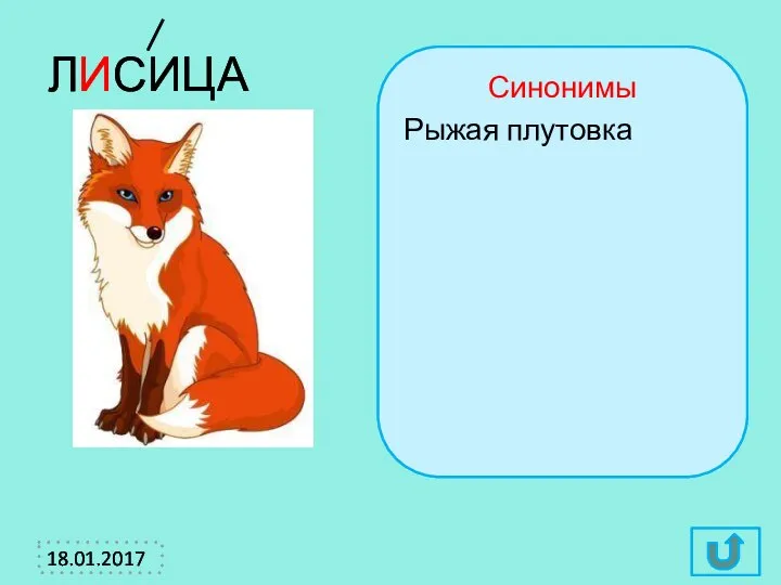 ЛИСИЦА Синонимы Рыжая плутовка