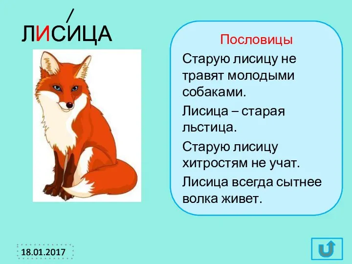 ЛИСИЦА Пословицы Старую лисицу не травят молодыми собаками. Лисица – старая