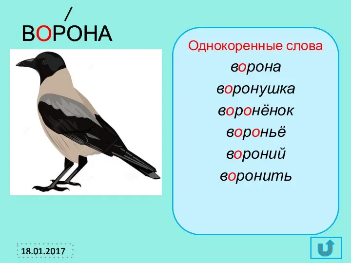 ВОРОНА Однокоренные слова ворона воронушка воронёнок вороньё вороний воронить