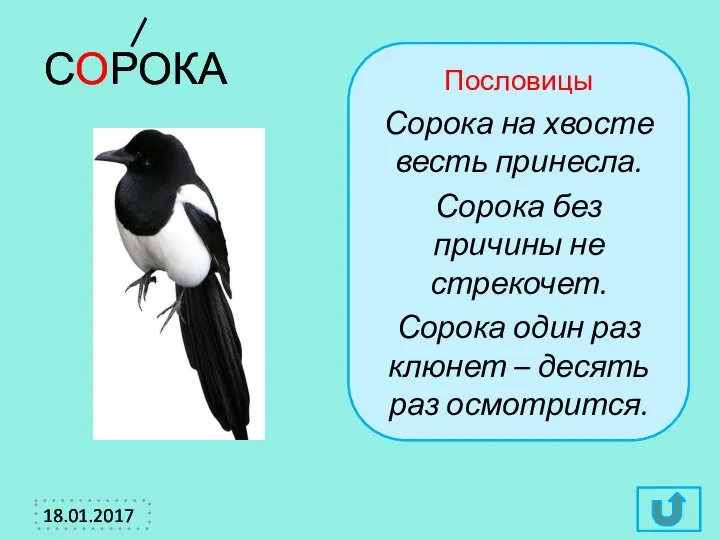 СОРОКА Пословицы Сорока на хвосте весть принесла. Сорока без причины не