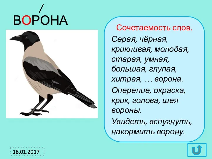 ВОРОНА Сочетаемость слов. Серая, чёрная, крикливая, молодая, старая, умная, большая, глупая,