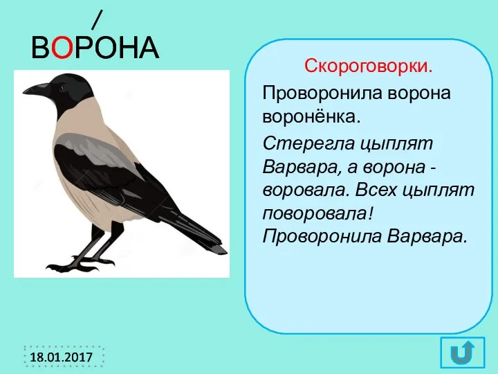 ВОРОНА Скороговорки. Проворонила ворона воронёнка. Стерегла цыплят Варвара, а ворона -воровала. Всех цыплят поворовала! Проворонила Варвара.