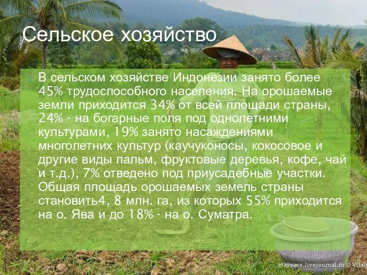 В сельском хозяйстве Индонезии занято более 45% трудоспособного населения. На орошаемые