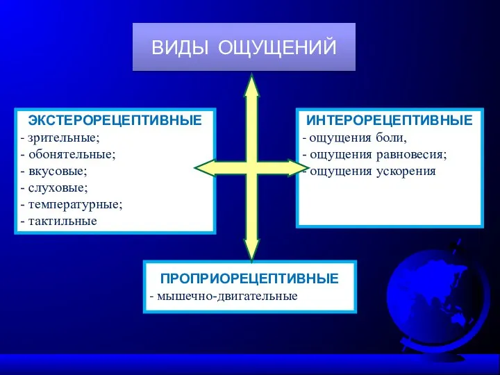 ВИДЫ ОЩУЩЕНИЙ ЭКСТЕРОРЕЦЕПТИВНЫЕ - зрительные; - обонятельные; - вкусовые; - слуховые;