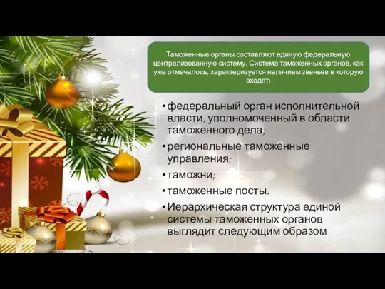 федеральный орган исполнительной власти, уполномоченный в области таможенного дела; региональные таможенные