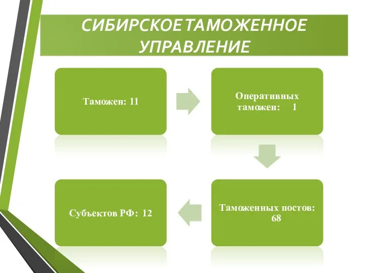 СИБИРСКОЕ ТАМОЖЕННОЕ УПРАВЛЕНИЕ