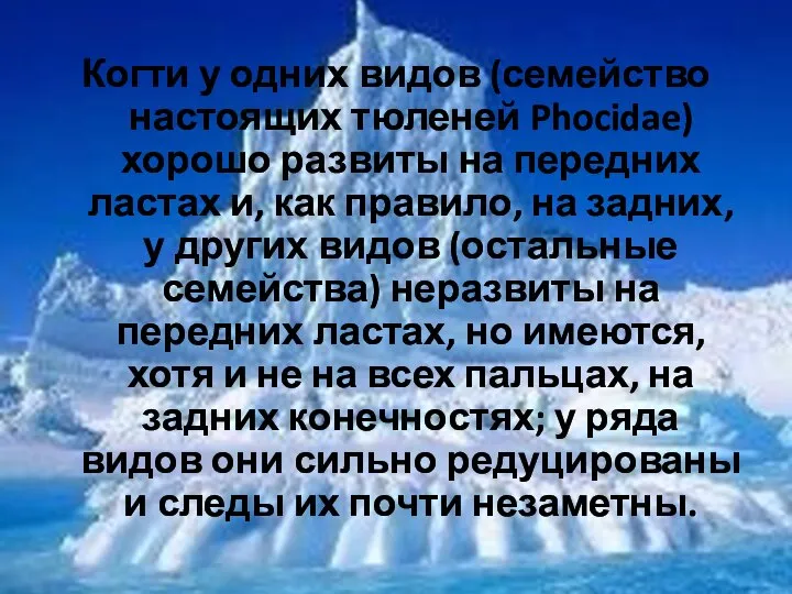 Когти у одних видов (семейство настоящих тюленей Phocidae) хорошо развиты на